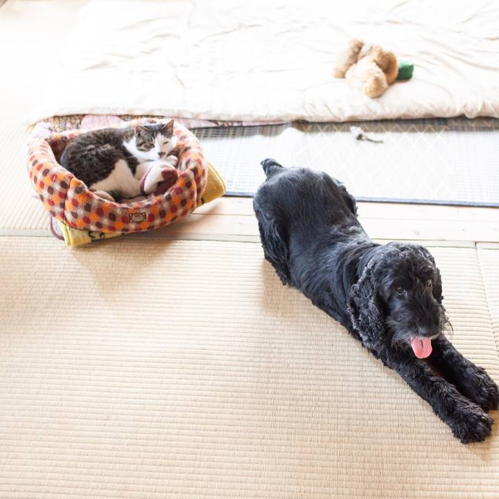 214bdb89 a79d 41de a12e a17f8d55af2c 1560735170033