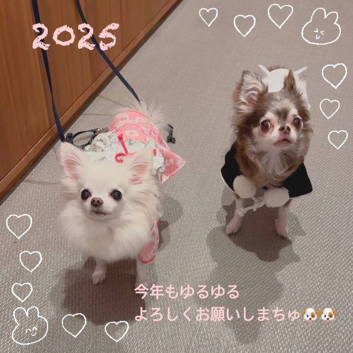 214c00d9 94b2 4827 aefd d35fa0ae1625 1735775291302