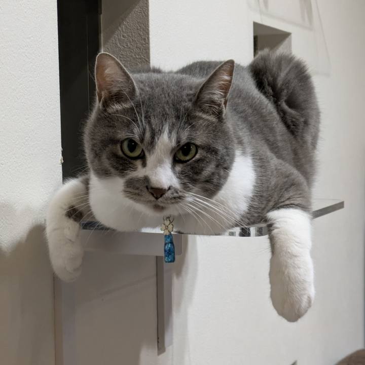 214c1e96 7e7c 4869 bdb6 214b87665d8d 1749901530150