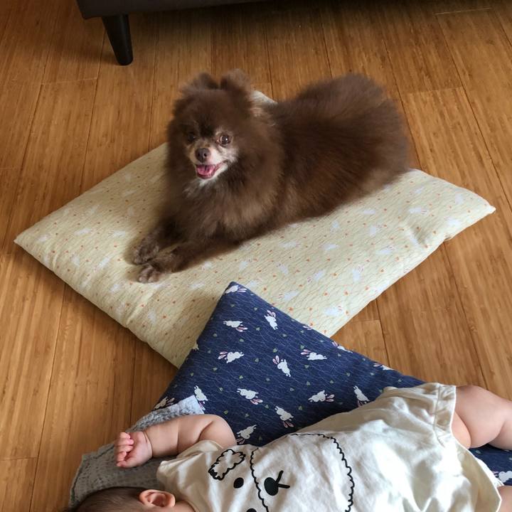 214c248a 230f 4772 9848 787f03092b41 1565227339314