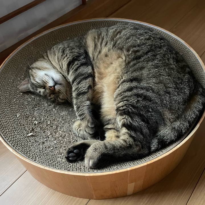 214c25a0 b4f3 4581 a3da 0b6933706f80 1655200184881