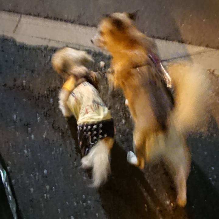 214c266b 11e0 4da4 9961 527945cfbd01 1538486078810