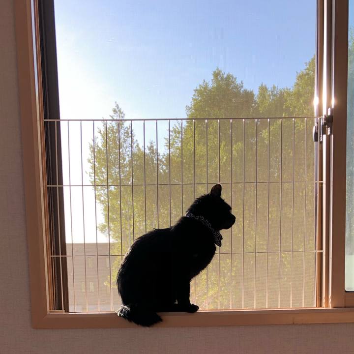 214c37ac cc7f 486c 962a 5500cae8b509 1557823514062