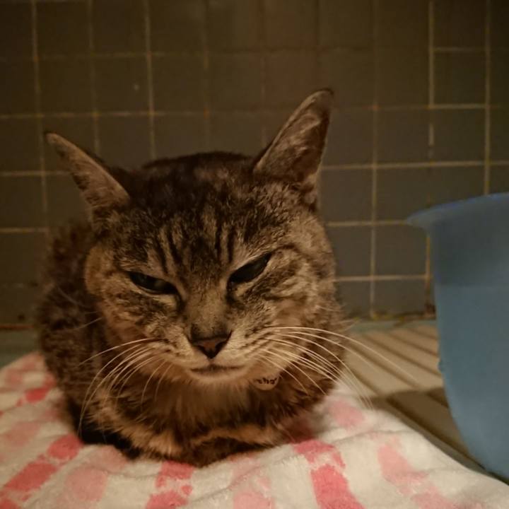 214c4252 66ca 42a7 aa87 f1ed0794ab36 1583835861866