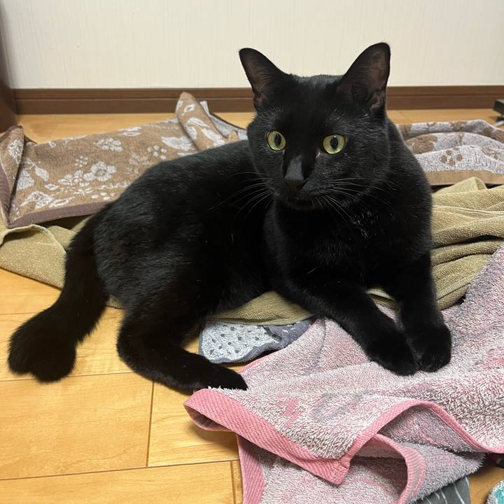 214c4c1e 0fd2 4379 a7df 64bb918e54aa 1695462848033