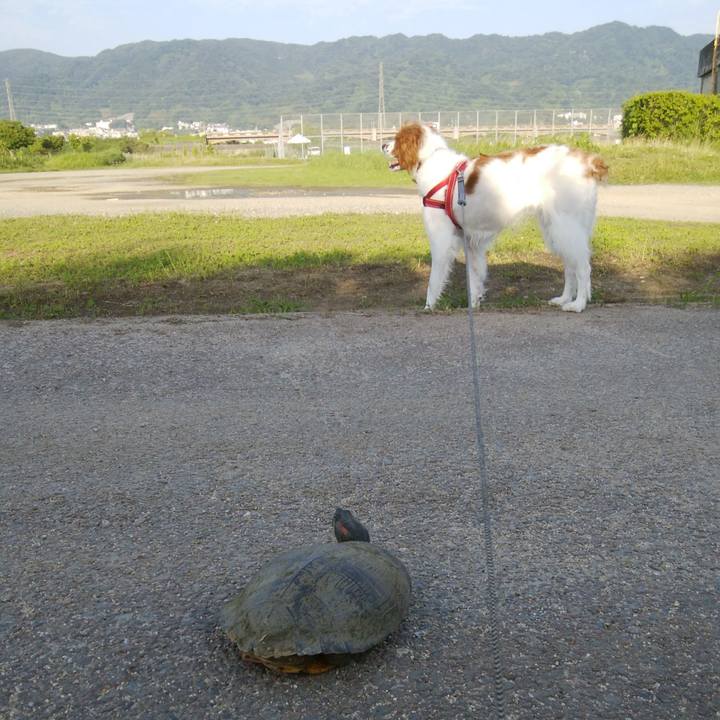 214c8e37 3e07 4d95 baee e7cfba203ee1 1528537495025