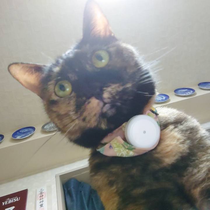 214ca739 704c 483b b35e f94d99c2efd1 1657541435090