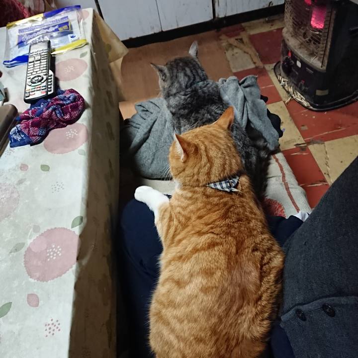 214cb2a7 1fc0 4f89 8ee1 4b99aa2d1fde 1576228932527