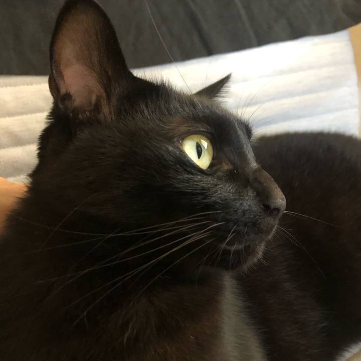 214cb50f 0a95 4d34 99d1 d9df5798e09d 1634954837766