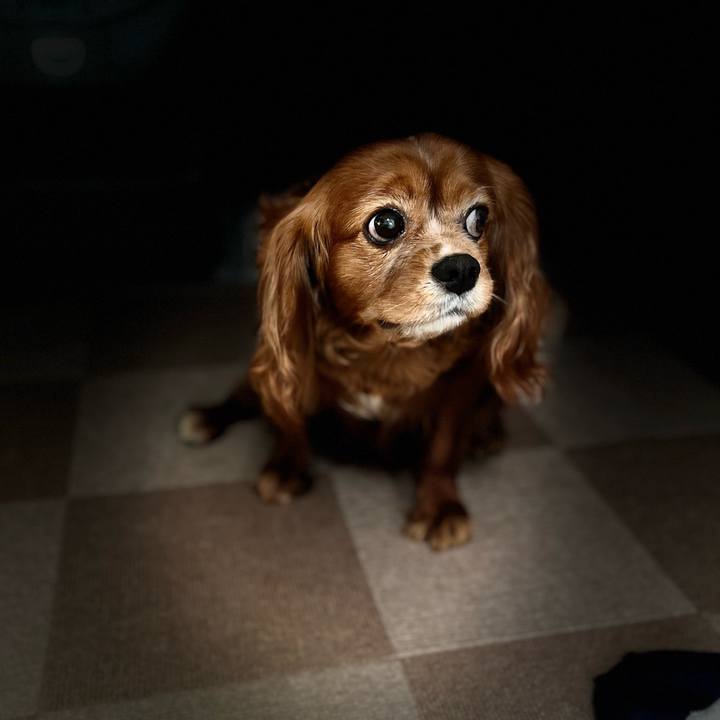 214cb75f d6d2 4f38 add7 53ef3a25521b 1667342015388