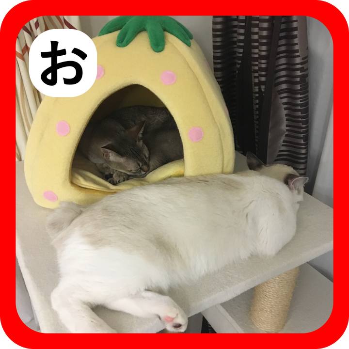 214cdbb4 4719 41d2 8c49 d3385b3d43c9 1514822240628