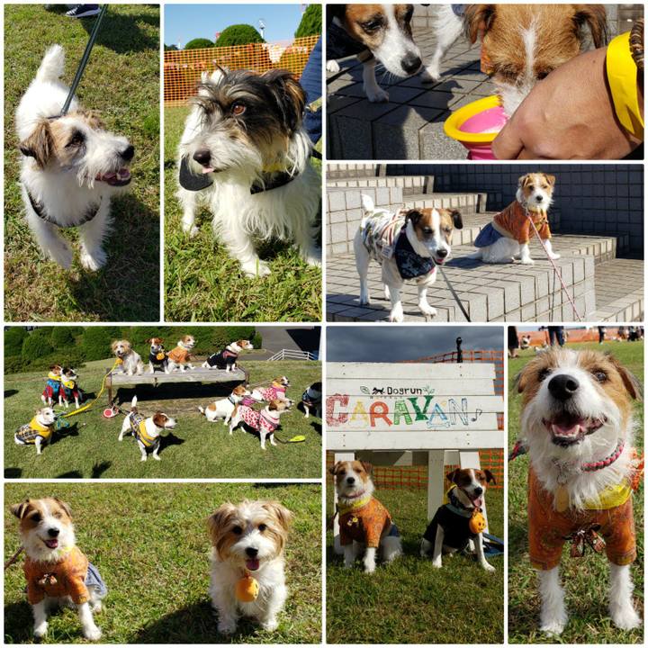 214ce4d6 7d5f 4430 bb58 6587130400d4 1603627361962