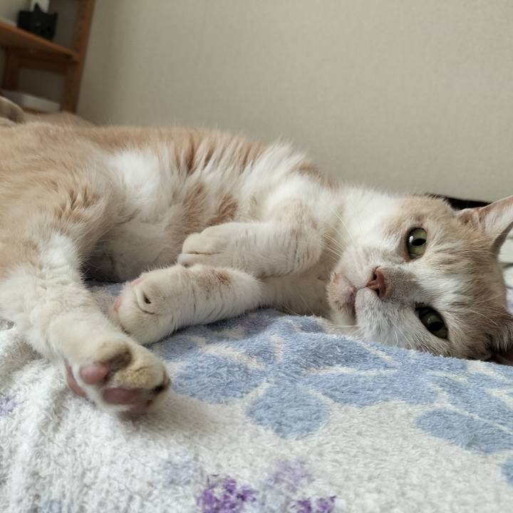 214d236e adfe 4d6f 9e15 ecc40097712d 1657490357245