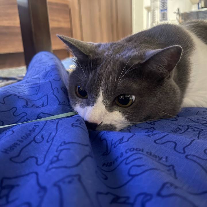 214d511a a7ea 45cc a354 fdc14a7efb6e 1688727312981