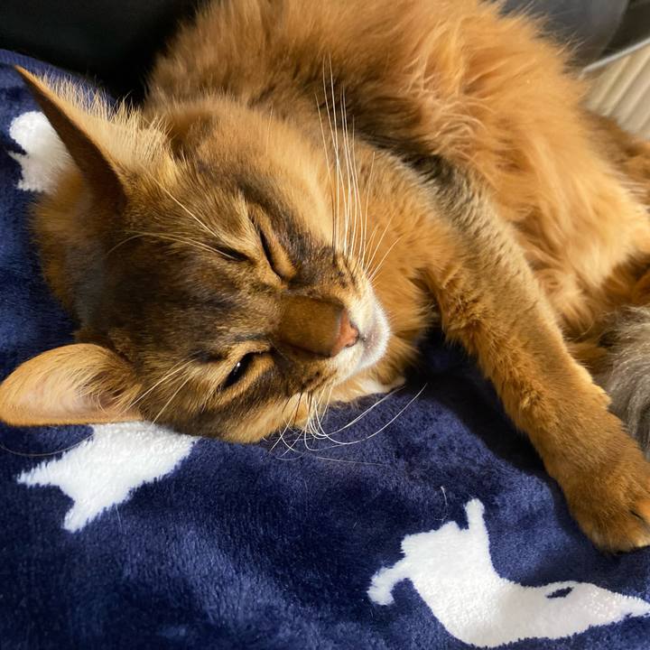 214d6fc0 a97b 42c6 98cf d6a4433b8cf3 1643534972802