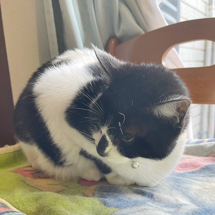 214d8dde 70e0 41e3 bcf3 c57f76d53339 1770677226215