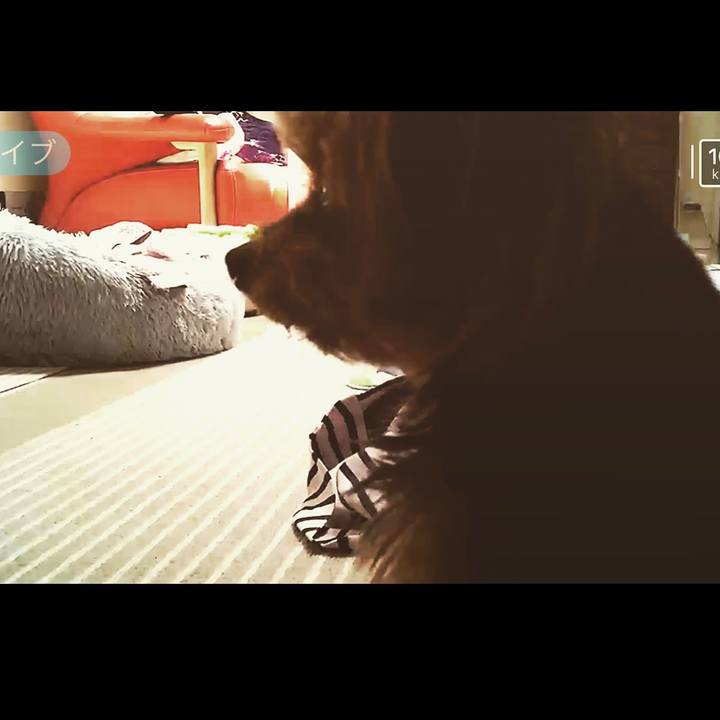 214da14a fb1a 4f37 a331 d205252f29cc 1692498021873