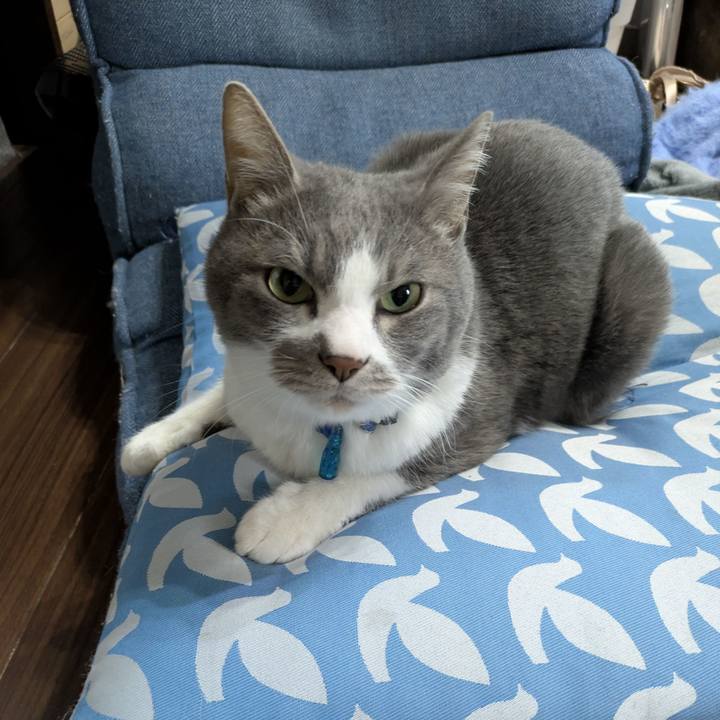 214dbbd3 a5e4 4914 b2fc dd426a3a8850 1775008499248