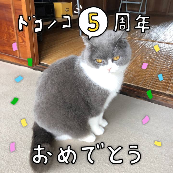 214df8b0 7e99 4f01 91d0 56e7e92fff20 1622862725704