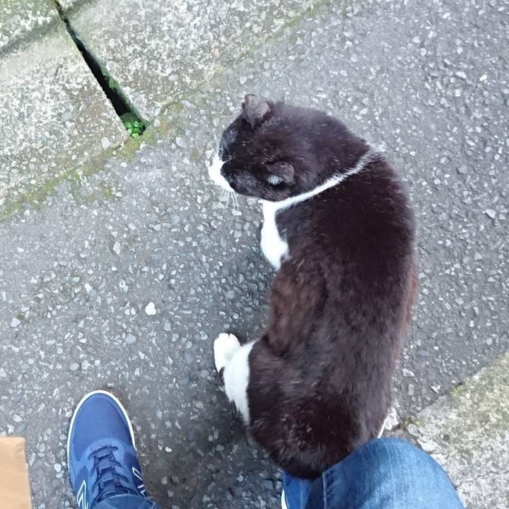 214e0227 2f2c 497b aa2c 2f6430a01067 1685528463696