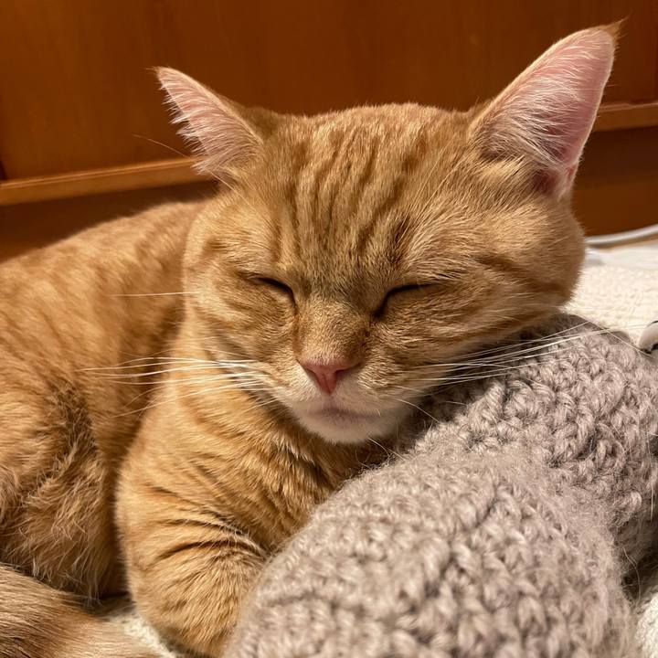 214e0498 1b9a 4377 89da e0cec5f34967 1766582778502