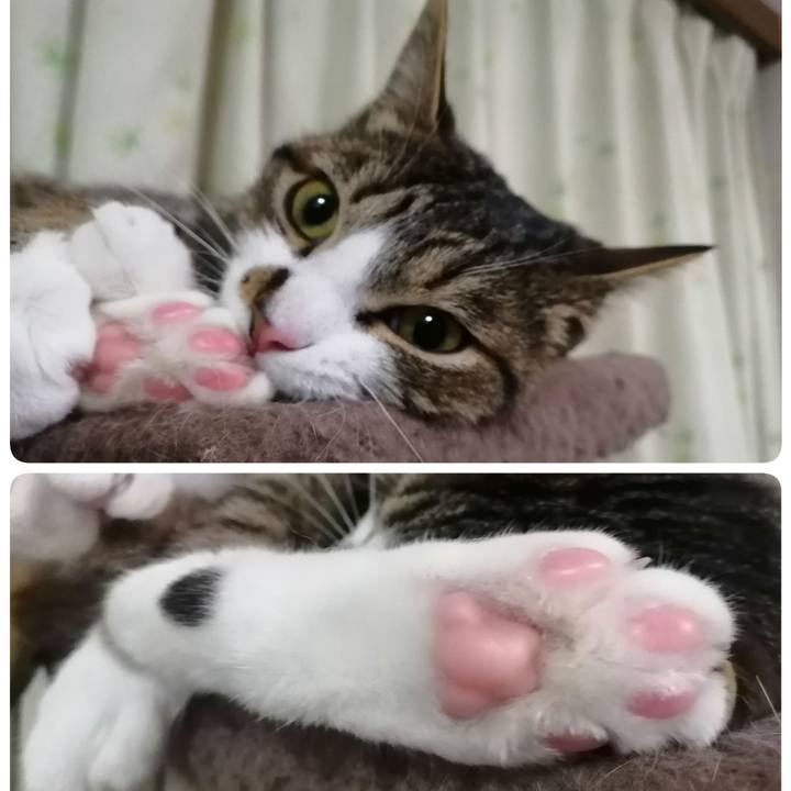 214e38bd 66c5 4f31 b129 b0d692ac03e4 1672145466780