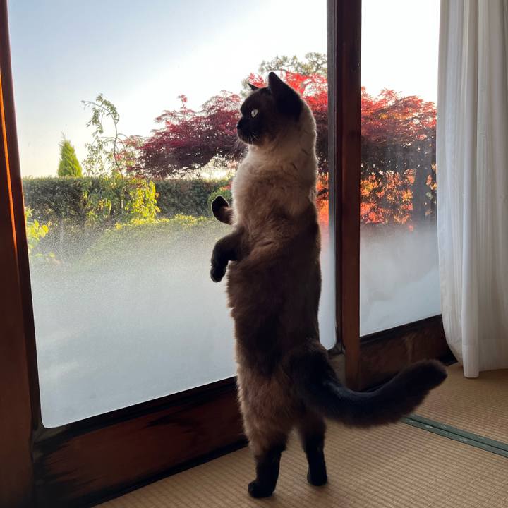 214e3ce9 afed 4b57 90dd 4559b729c06d 1682153341332