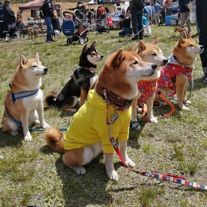 214e6099 6e88 4c8b 903e a33bbb360d49 1682511493947