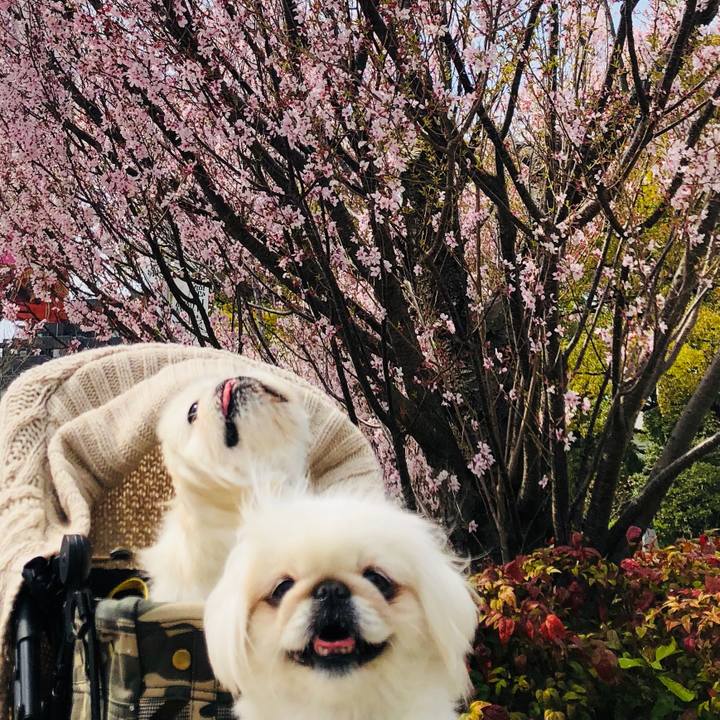 214e732b 3593 48a7 9470 05cf86a3acb0 1617019051495