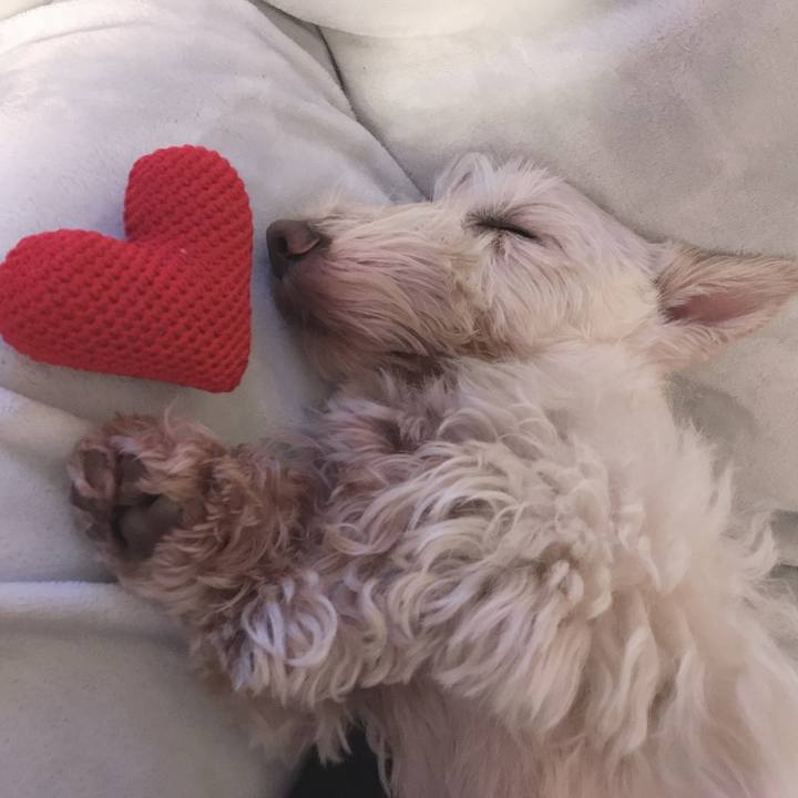 214e8fdf 4124 4e9d 87f9 6706f0f13476 1556639946964