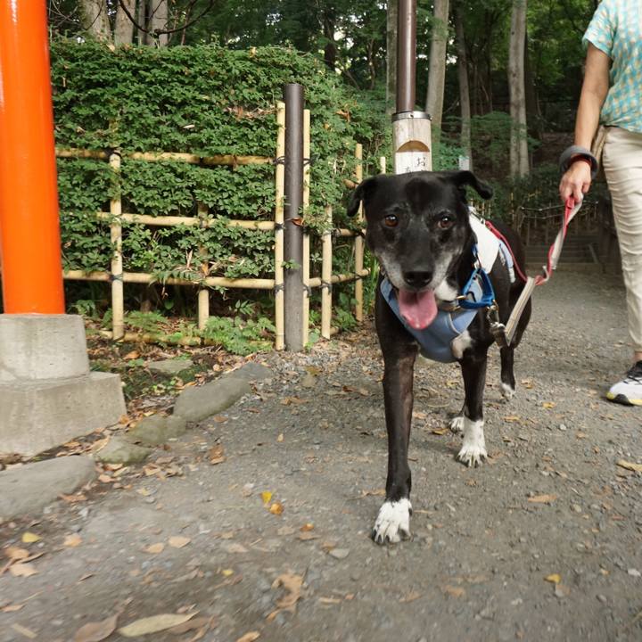 214e9031 47f8 49a1 a418 ec4d054a94ca 1756684718077