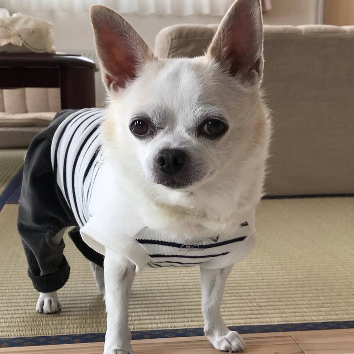 214ea42d bf78 4c02 8bfa 33aa8680f281 1583238993305