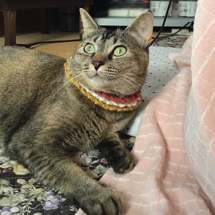 214eee57 f179 41ef be7b 0a0db896544b 1622157149826