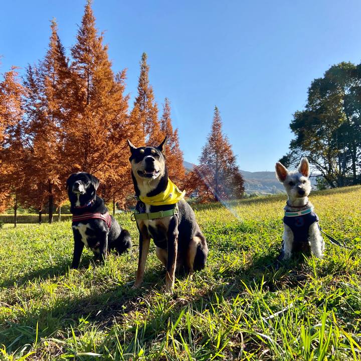 214ef4e2 0500 4cc0 a7a0 87cc49330654 1637676984071