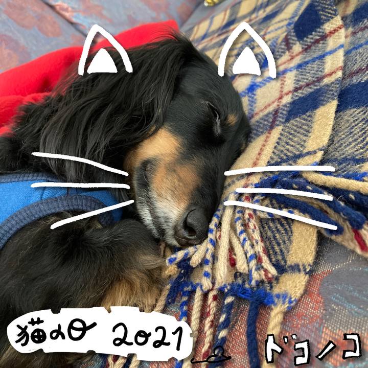 214f0c77 5fb3 4823 9e0d 16d6d8a6be52 1613972354075