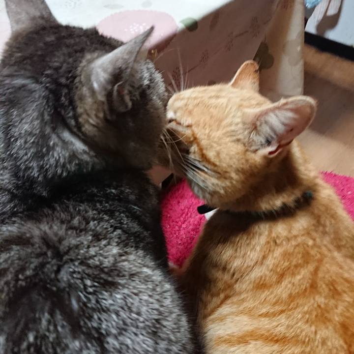 214f21e0 d705 4629 89cf 70fe1430b118 1555589107823