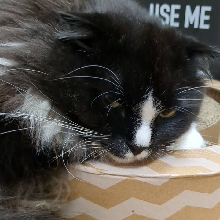 214f5b94 c653 4363 b5c0 ef869fe72a0d 1686572850918