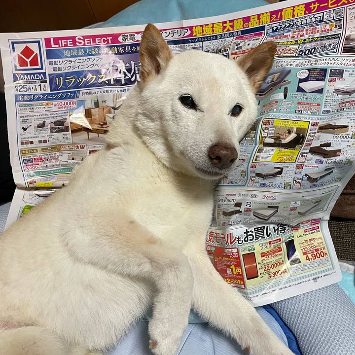 214f5e4b 1cdd 4522 92a8 926db72eda8b 1656507502698