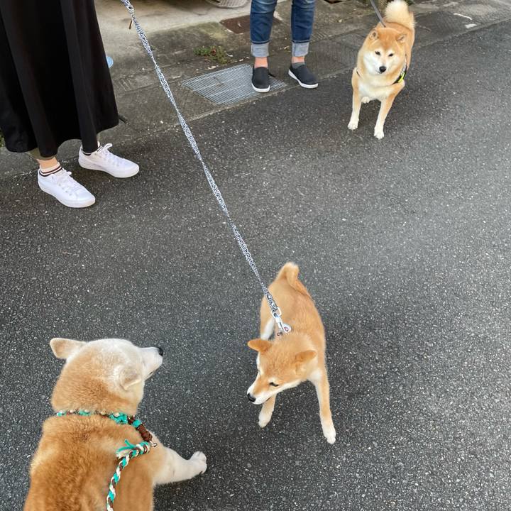 214f8e6c 391b 4613 806b d7228c77a879 1633481048176