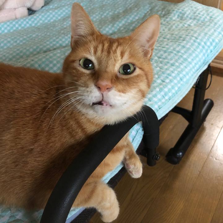 214fa24c 7d87 4c01 a3b0 0bc3ce6ff49b 1729313997082