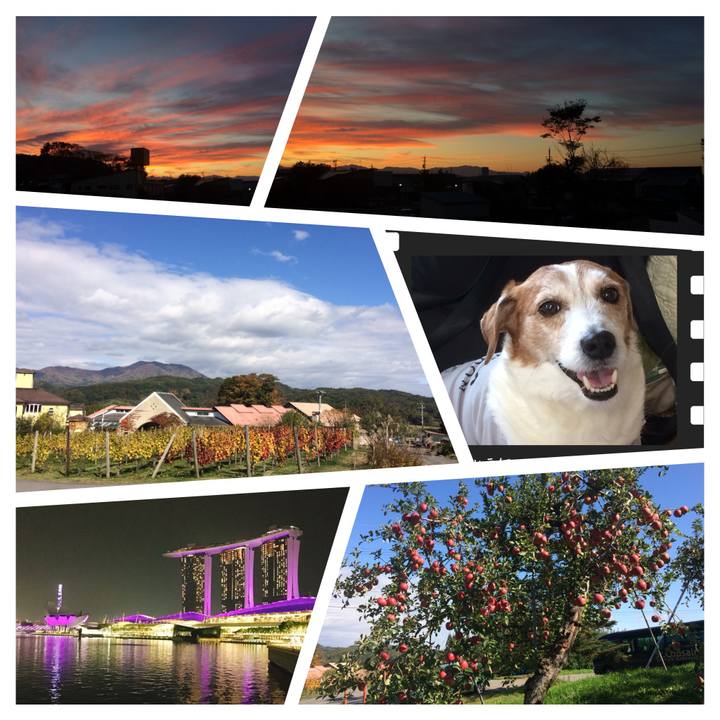 214fba4f d480 4868 b3b9 4c5c36857bfc 1509579849170