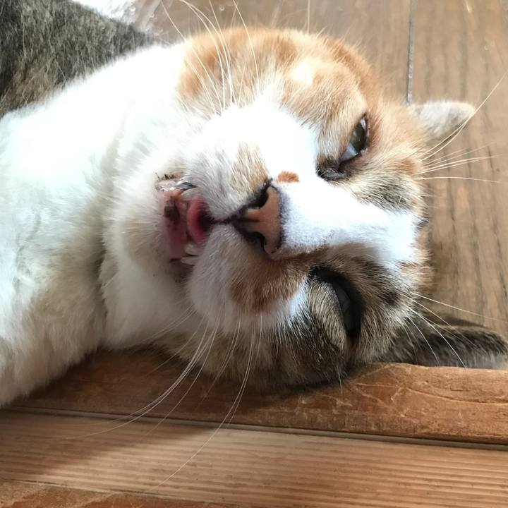 214fd6b7 ba58 4d09 85da 6a4978a135db 1533574337736