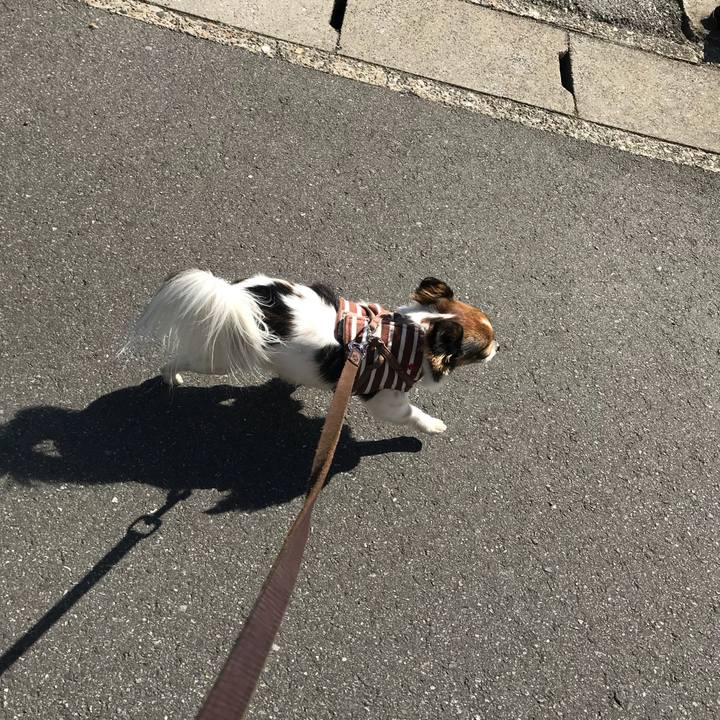 214fd87c e351 4513 ac85 5f0e59144c28 1518924275203