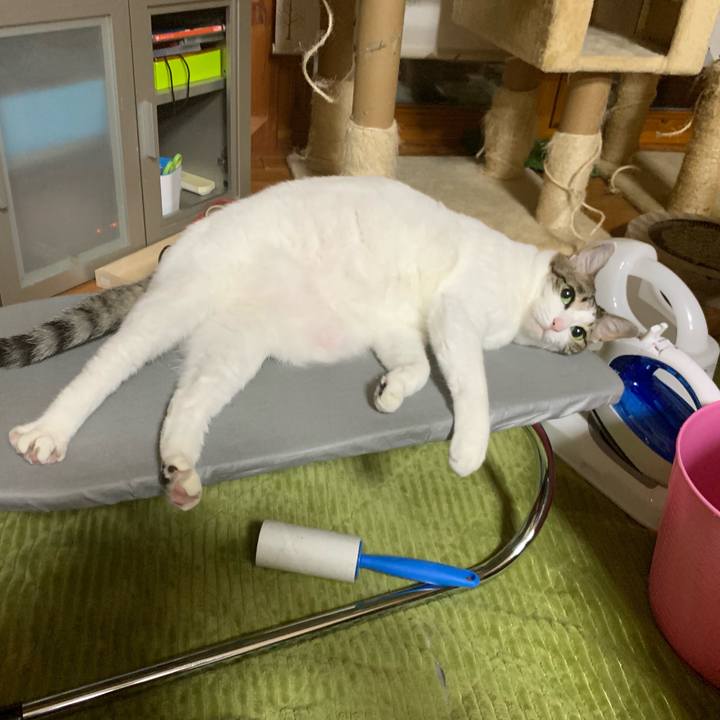 214fe3f5 a8fb 46c7 8cd0 4bb713687091 1555765026460