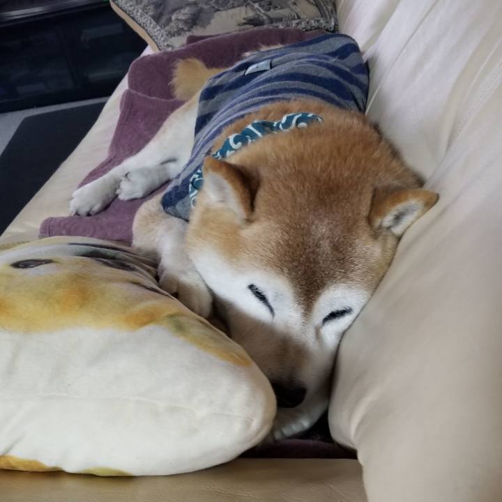 214ff544 4497 44b3 80df 22e3441e246c 1702338266763