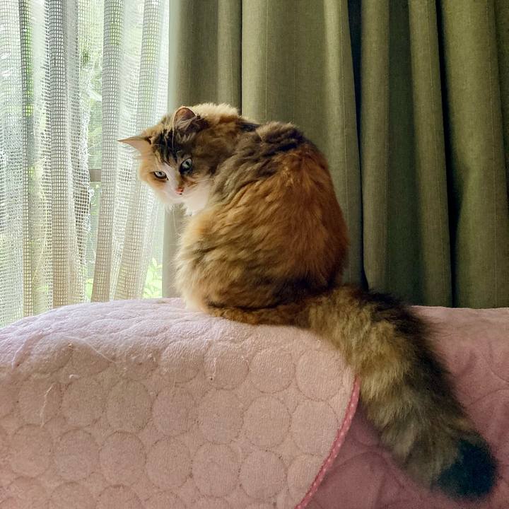 215007c2 bf09 4edf b048 2fea4b83c6b4 1656314574557