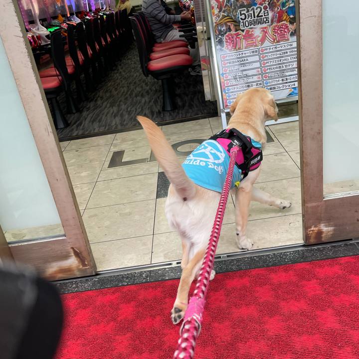 21505636 add2 46ff 9a82 ec78e8c45acd 1622091391917