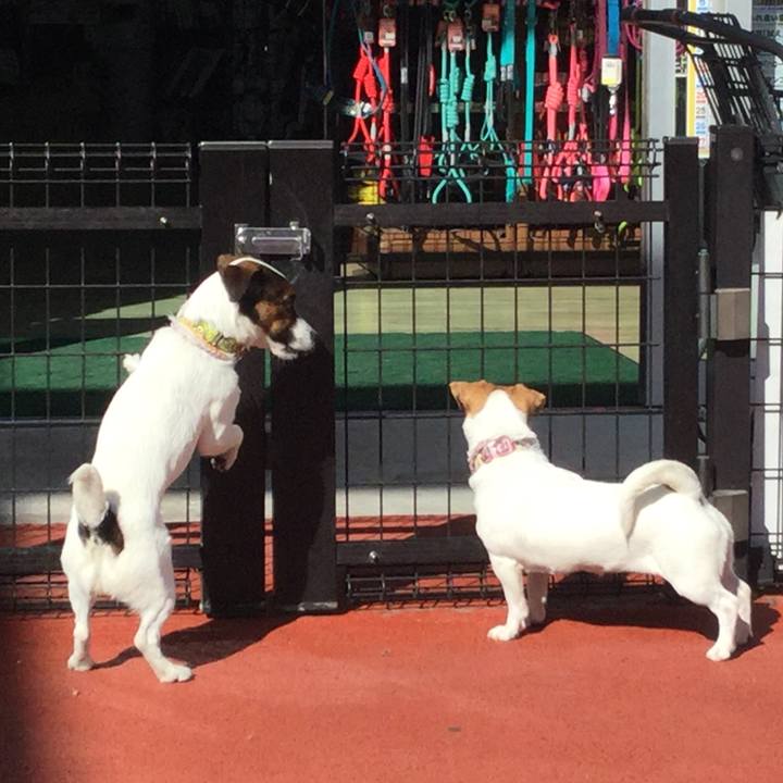 215069eb b9bf 434d 94b7 33ed18134ce8 1548216578600