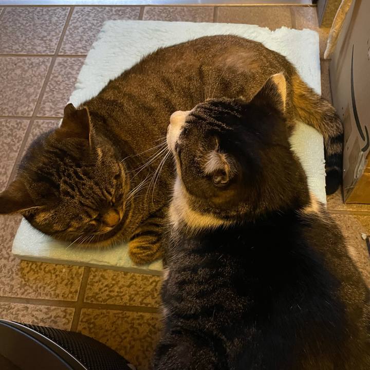 2150be9d 5baa 4d7e 9383 acc20fc35f91 1612436953070