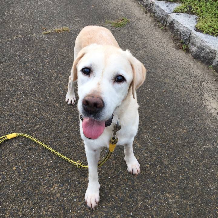 2150d12f 4165 4cbb a7d8 36c96861ffbc 1536742435563